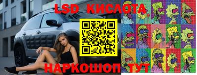 гидра Кингисепп