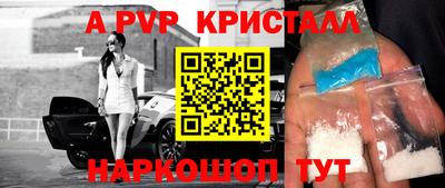гидра Кингисепп