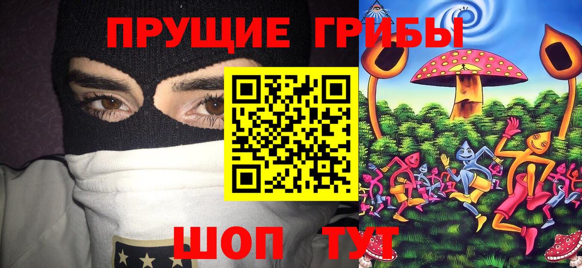 Псилоцибиновые грибы прущие грибы Чусовой