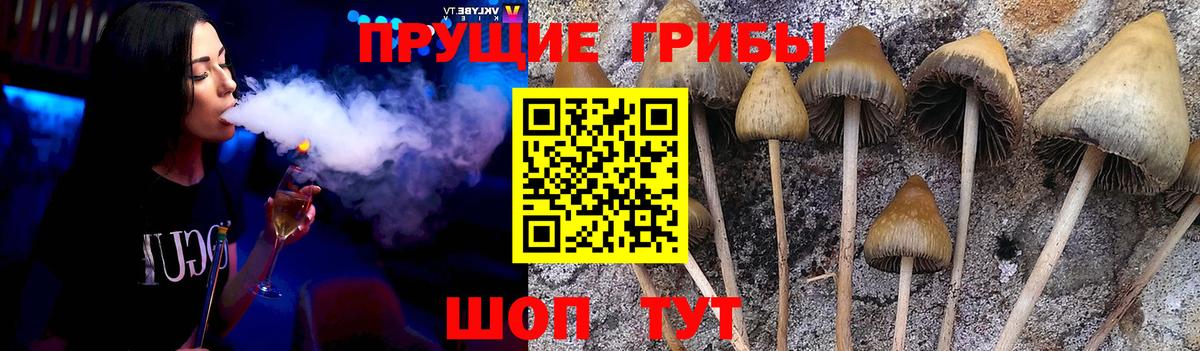 Чусовой  Псилоцибиновые грибы мухоморы  Вход с VPN 
